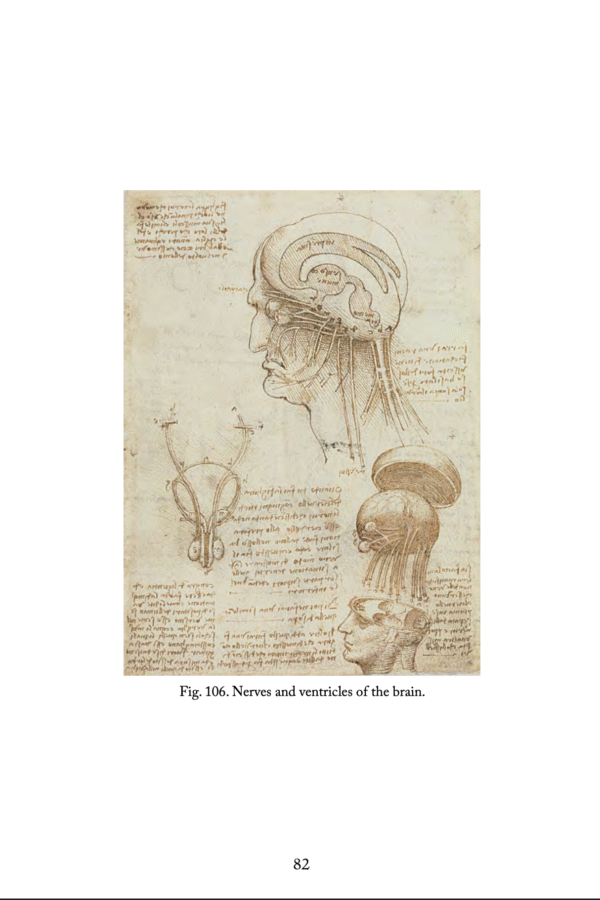ICONICS OF LeonardodaVinci (E-Book) - Image 3